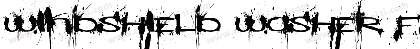 Windshield Washer Fluid Concentrate字体转换